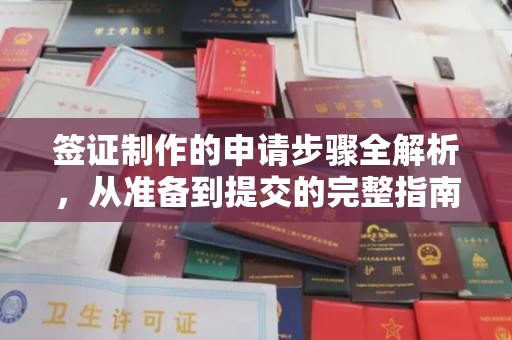 瓮安签证制作的申请步骤全解析，从准备到提交的完整指南