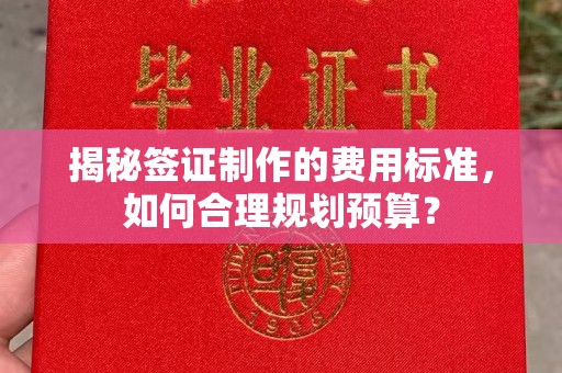 瓮安揭秘签证制作的费用标准，如何合理规划预算？
